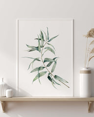 Dainty Eucalyptus  Poster