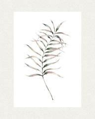 Dainty Tropical Palm Leaf Poster