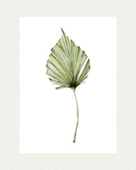 Tropical Green Leaf Poster