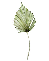 Tropical Green Leaf Poster