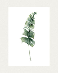 Tropical Banana Leaf Poster