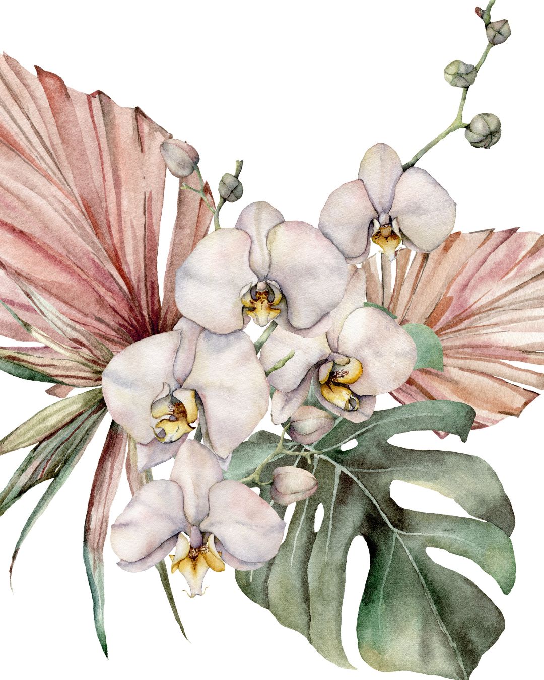 Tropical Orchid Poster